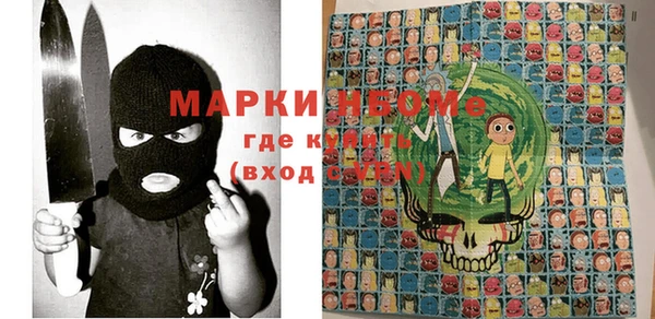 индика Волосово