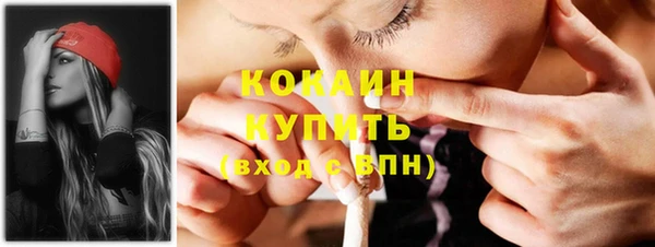 стаф Вязьма