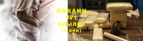 индика Волосово