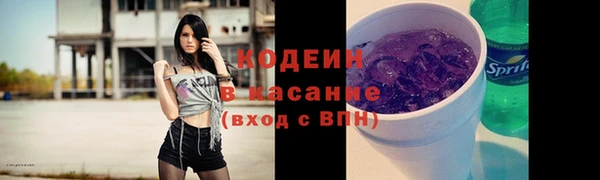 индика Волосово
