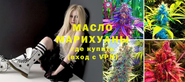 индика Волосово