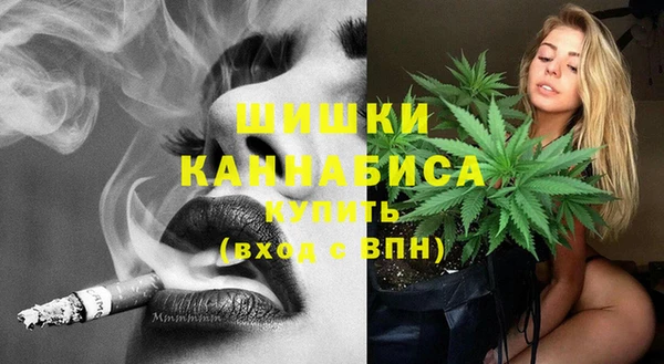 индика Волосово