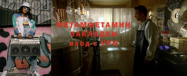 прущие грибы Мурманск