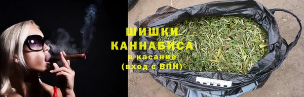 индика Волосово
