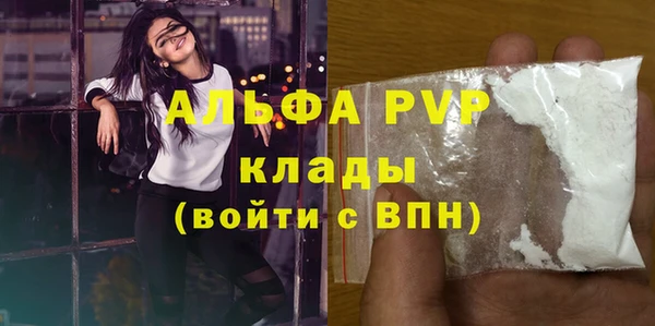 индика Волосово